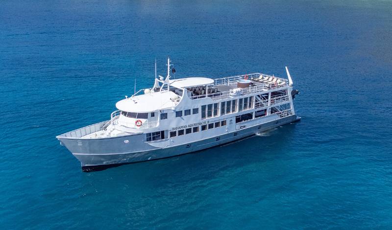 Bahamas Aggressor II · Bahamas
