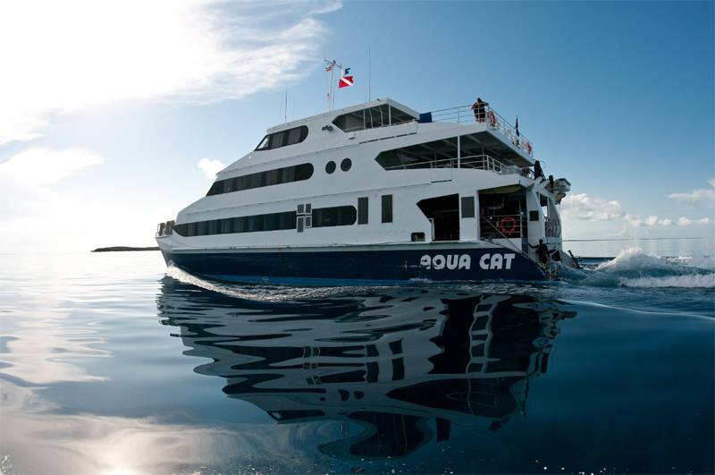 Aqua Cat · Bahamas