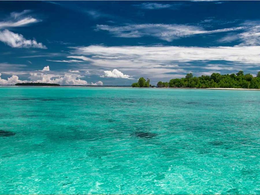Tauchsafari Indonesien