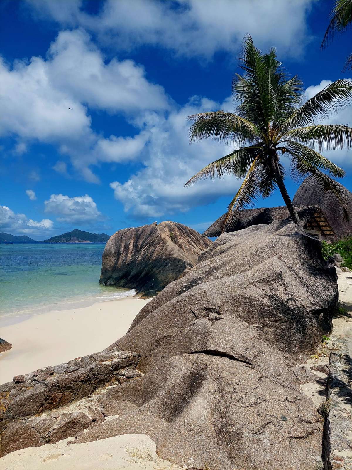 Tauchsafari Seychellen