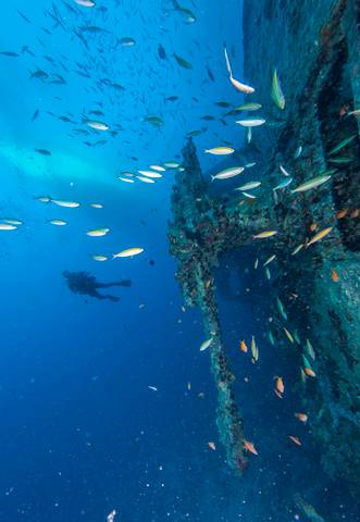 Tauchen in Ägypten – UW Thistlegorm1