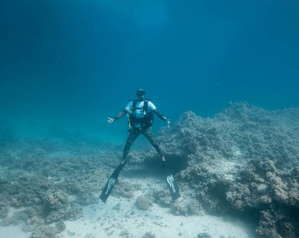 Tauchen in Ägypten – tauchen im roten meer