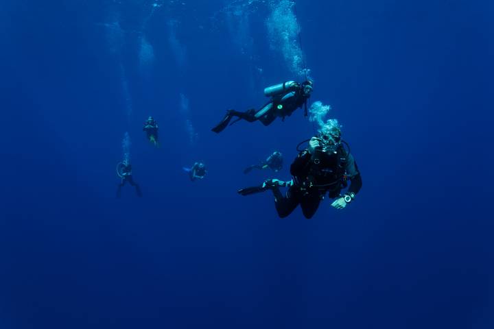 Tauchen in Ägypten – The Oasis Diver