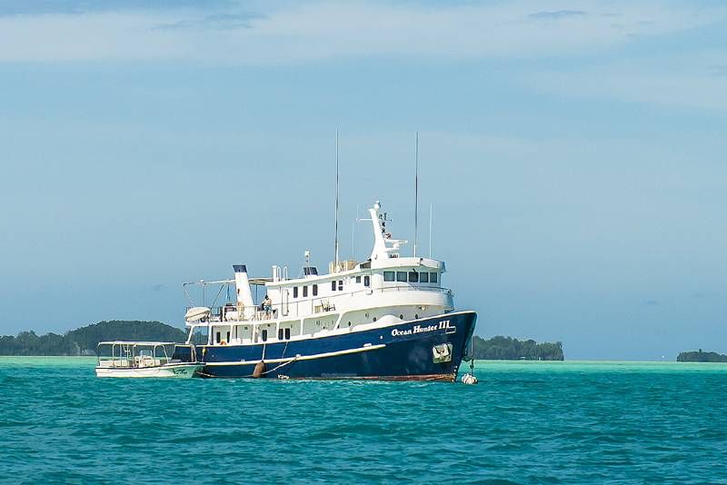 Ocean Hunter III