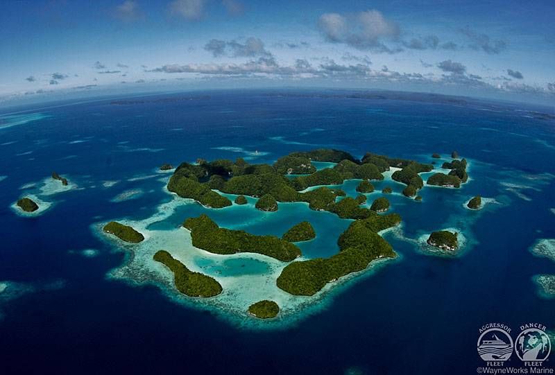 Palau Aggressor II