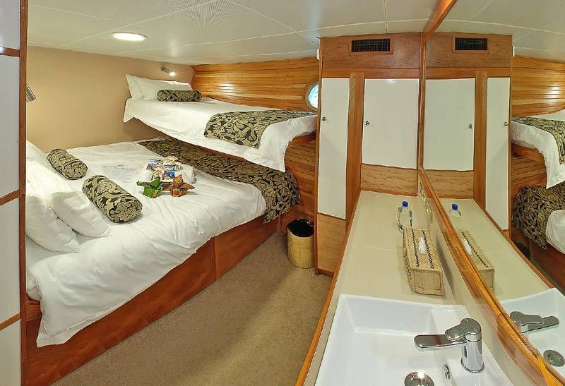 Double mit extra Bunkbed