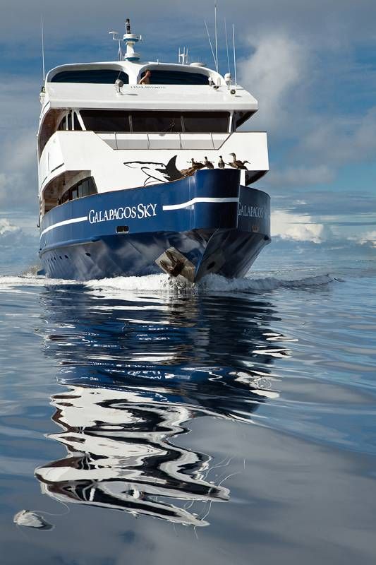 Galapagos Sky