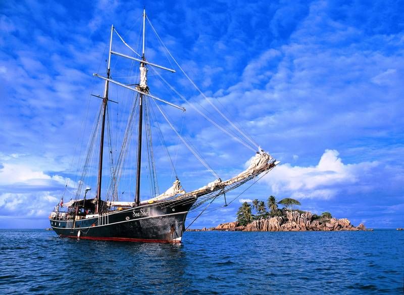Sea Pearl
