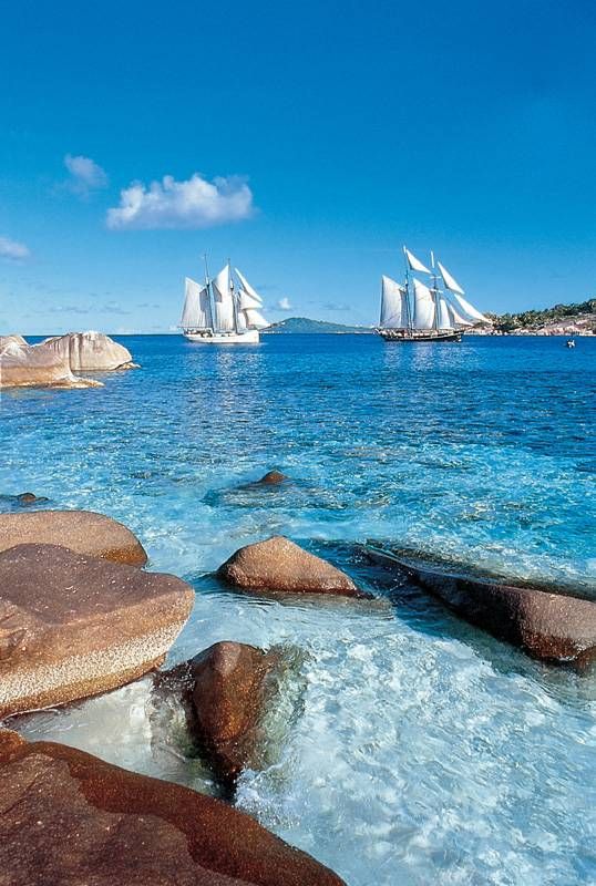 Sea Pearl