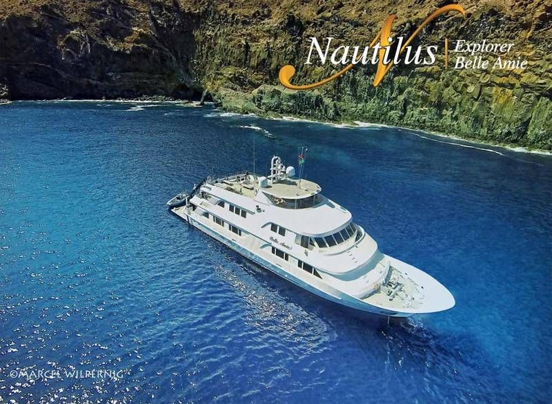 Nautilus Belle Amie