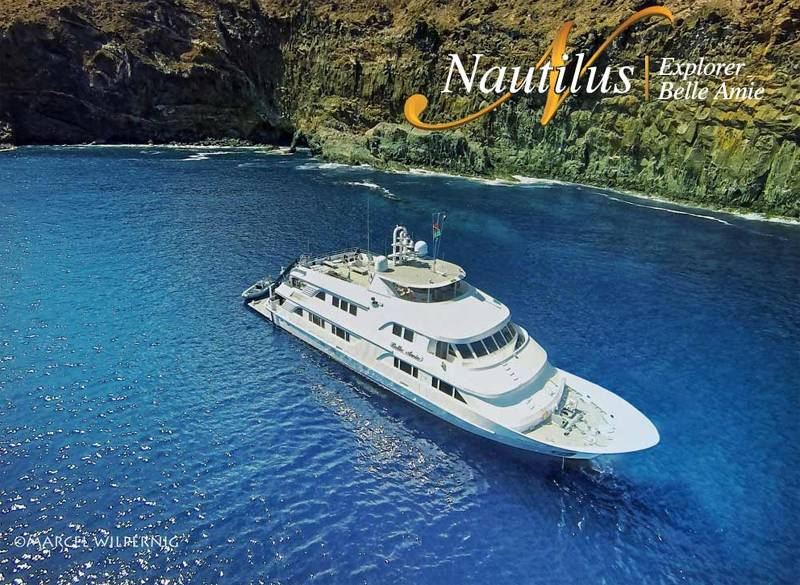 Nautilus Belle Amie